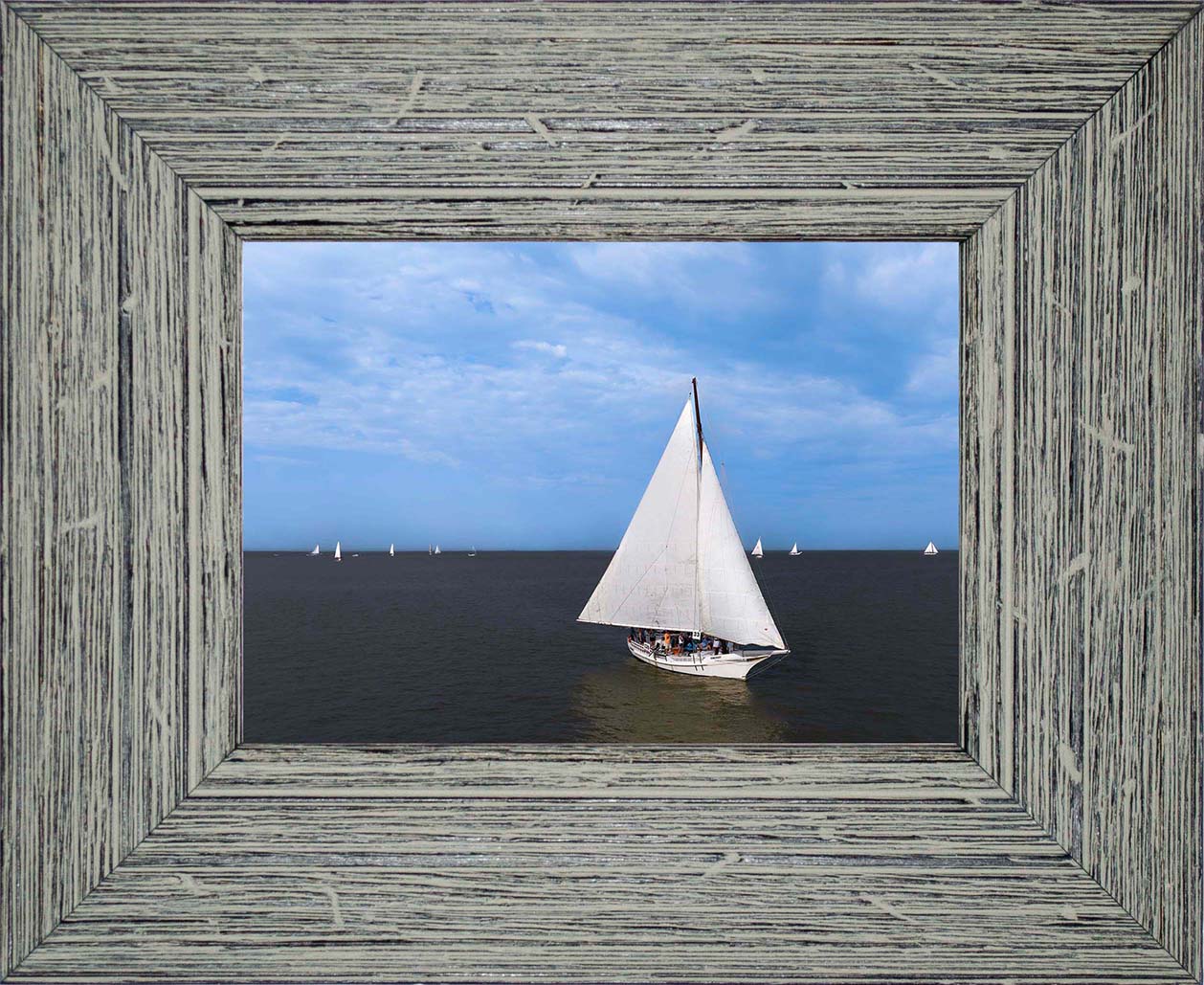 2023 Deal Island Skipjack Races - Somerset Goes Alone -- Digital Print