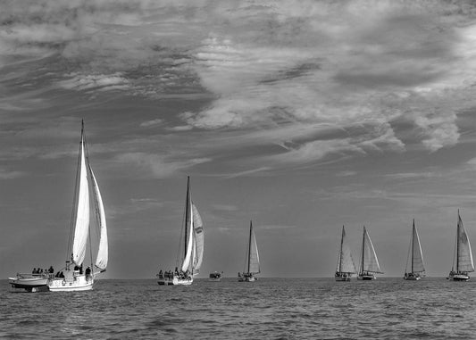 2023 Deal Island Skipjack Races - Spreading the Field (BW) -- Digital Print