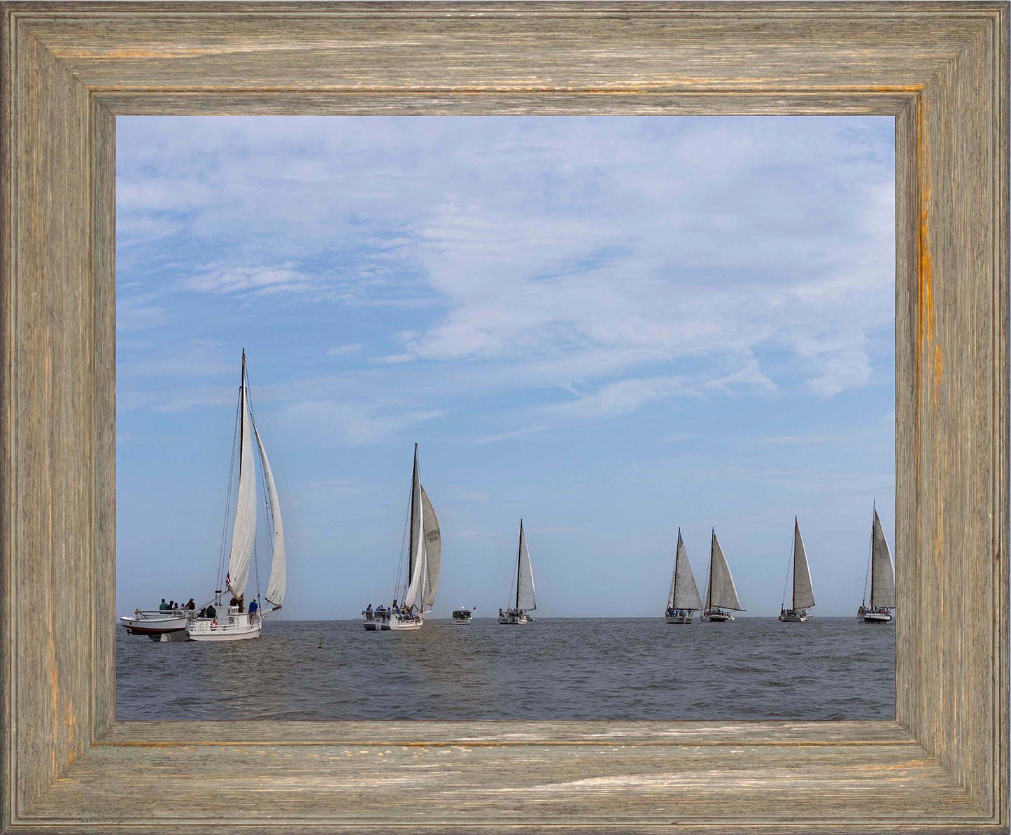 2023 Deal Island Skipjack Races - Spreading the Field (Color) -- Digital Print