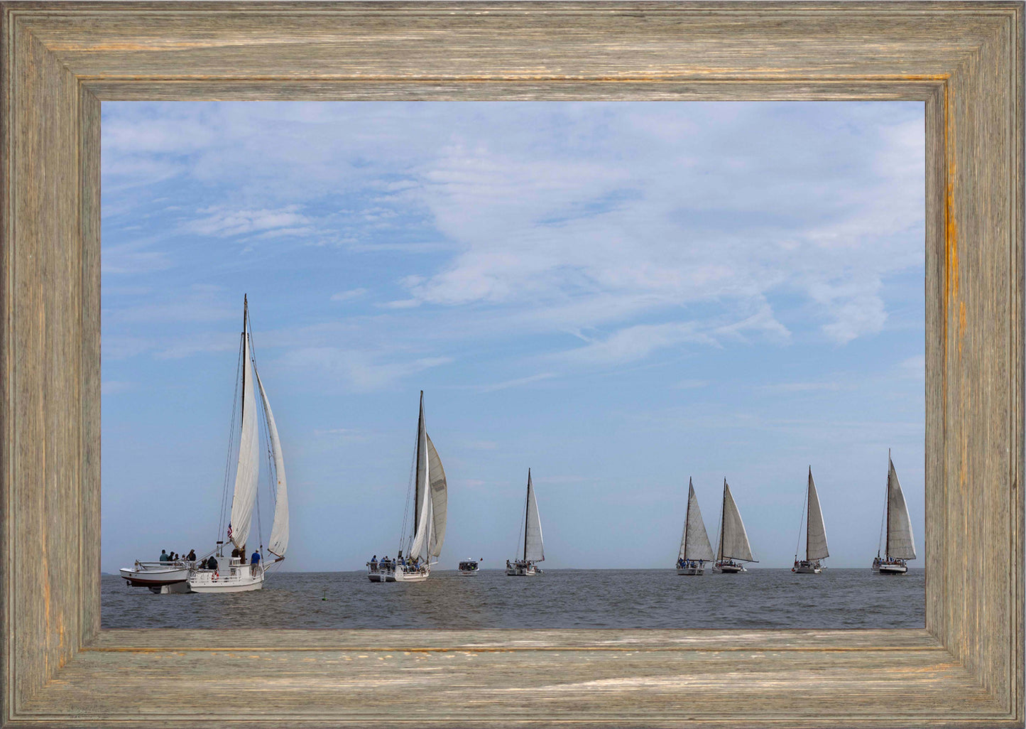 2023 Deal Island Skipjack Races - Spreading the Field (Color) -- Digital Print