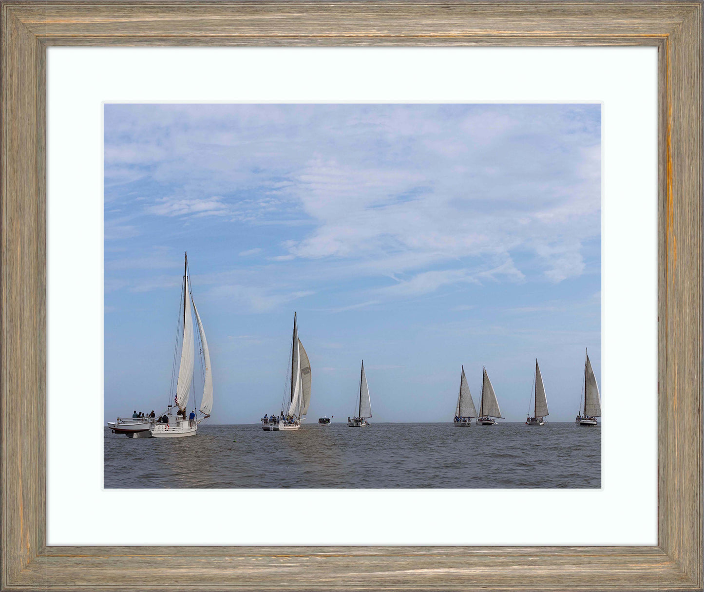 2023 Deal Island Skipjack Races - Spreading the Field (Color) -- Digital Print