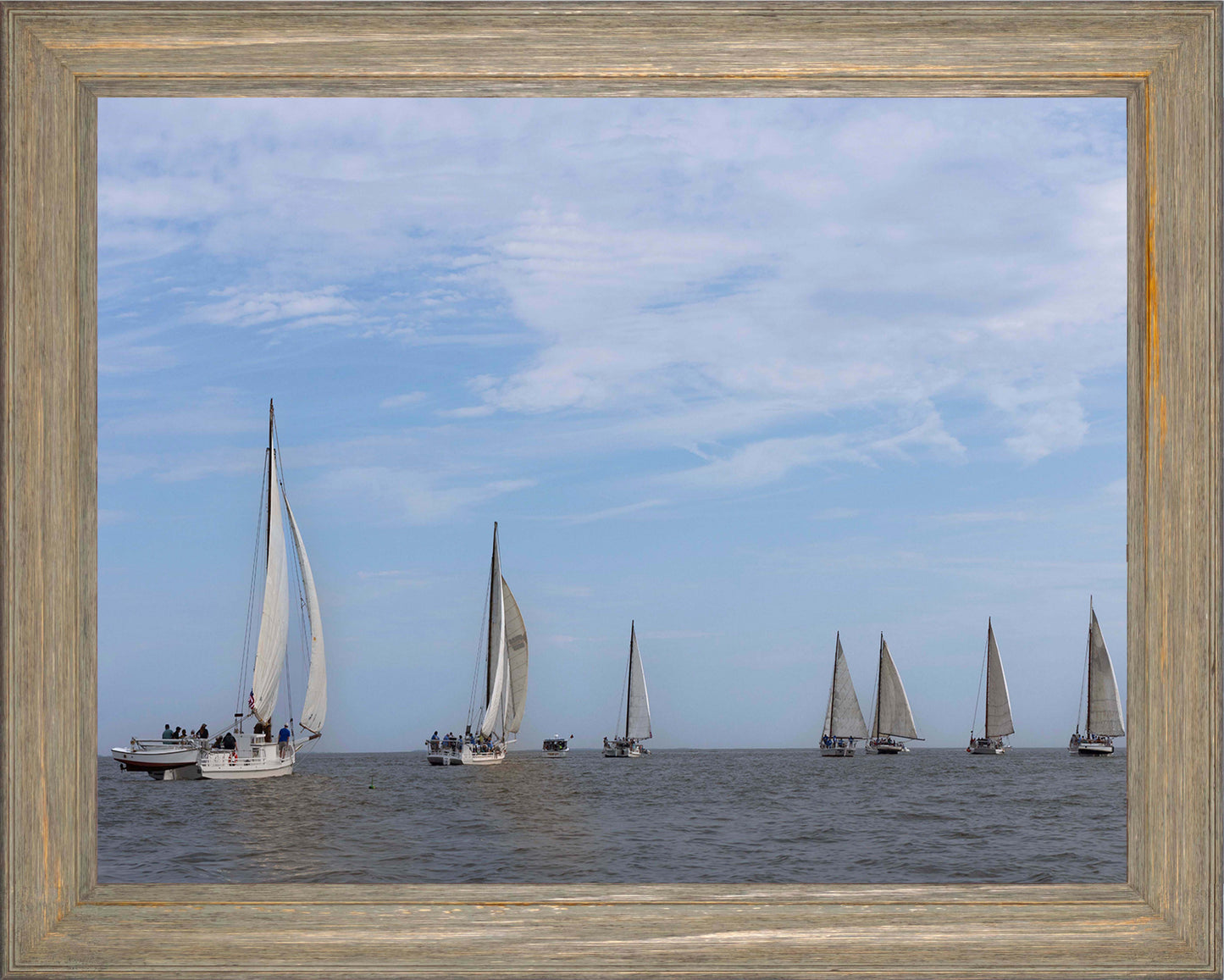 2023 Deal Island Skipjack Races - Spreading the Field (Color) -- Digital Print
