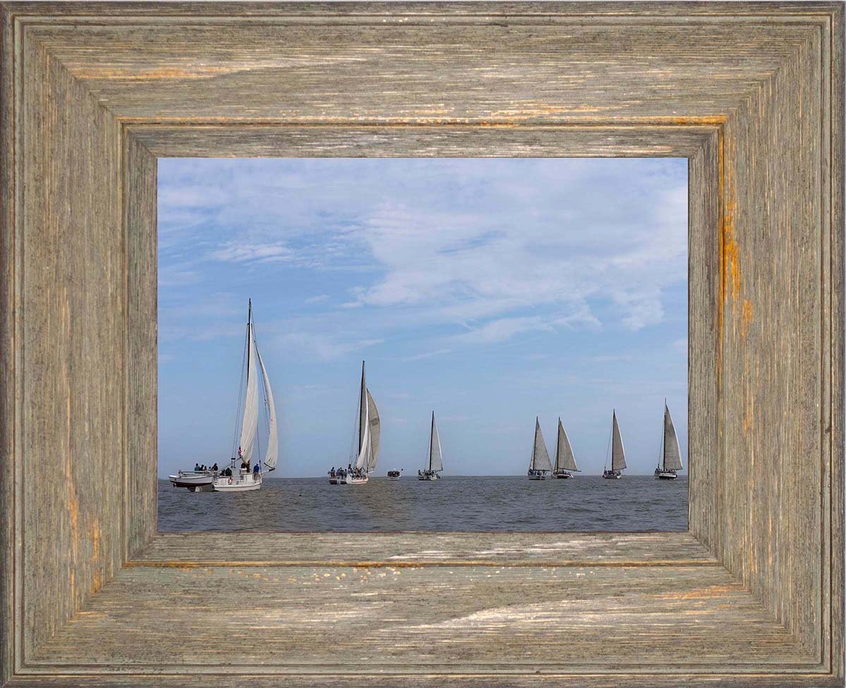 2023 Deal Island Skipjack Races - Spreading the Field (Color) -- Digital Print