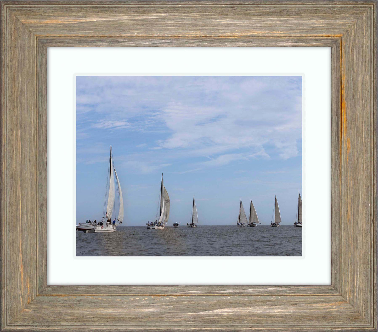 2023 Deal Island Skipjack Races - Spreading the Field (Color) -- Digital Print