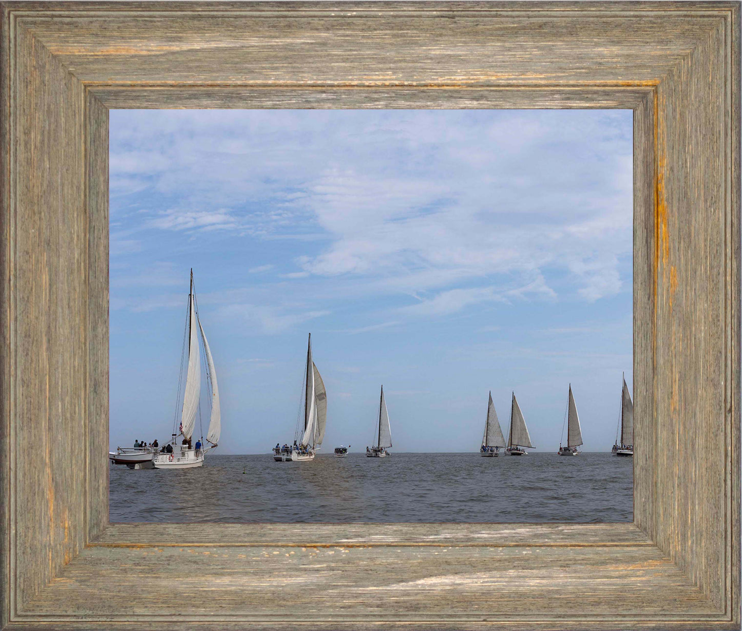 2023 Deal Island Skipjack Races - Spreading the Field (Color) -- Digital Print