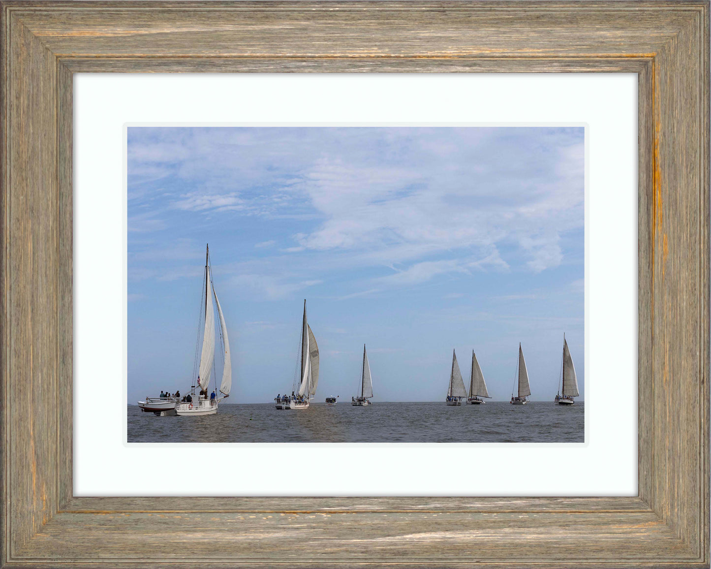 2023 Deal Island Skipjack Races - Spreading the Field (Color) -- Digital Print