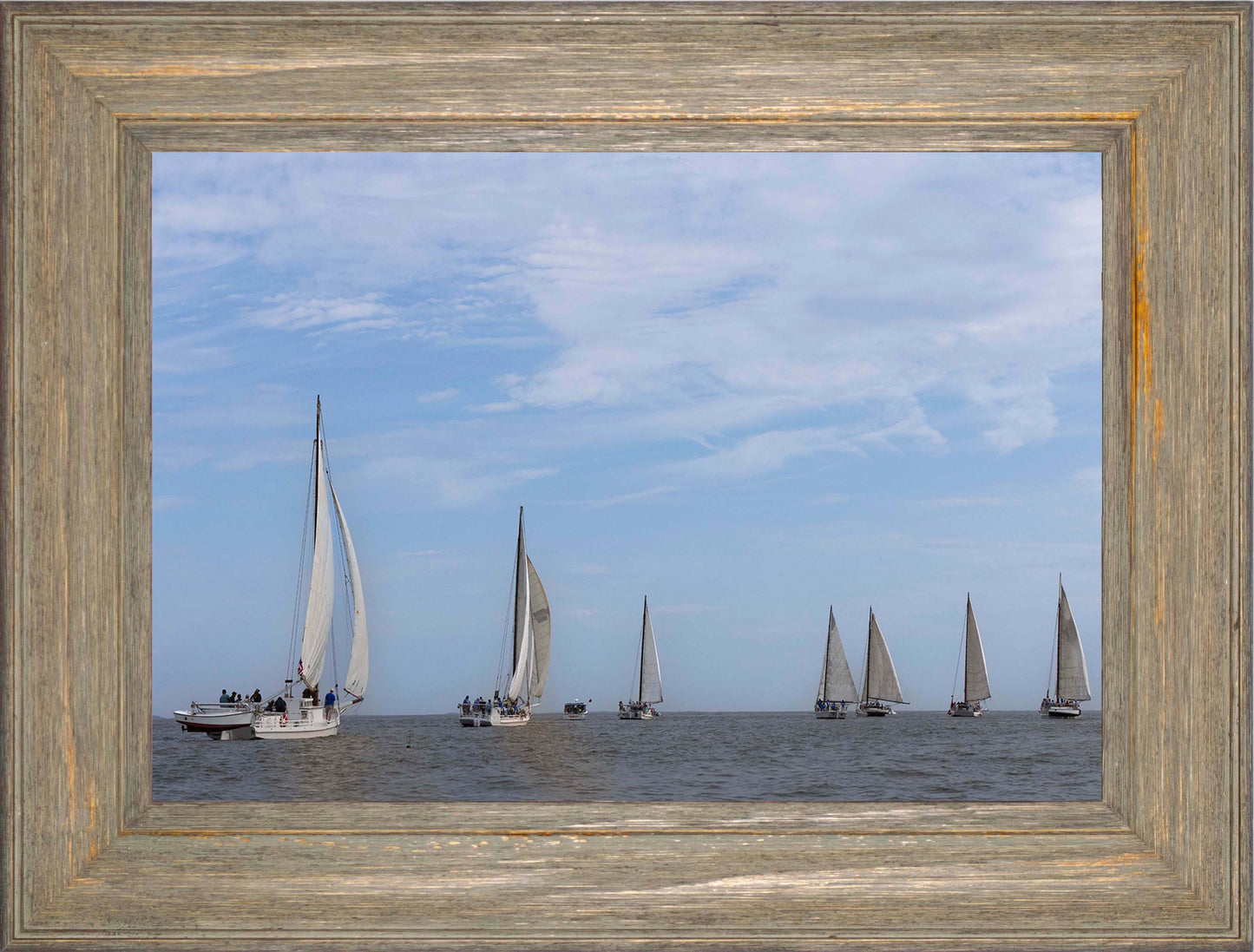 2023 Deal Island Skipjack Races - Spreading the Field (Color) -- Digital Print
