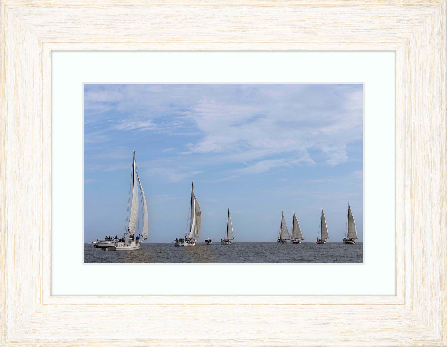 2023 Deal Island Skipjack Races - Spreading the Field (Color) -- Digital Print