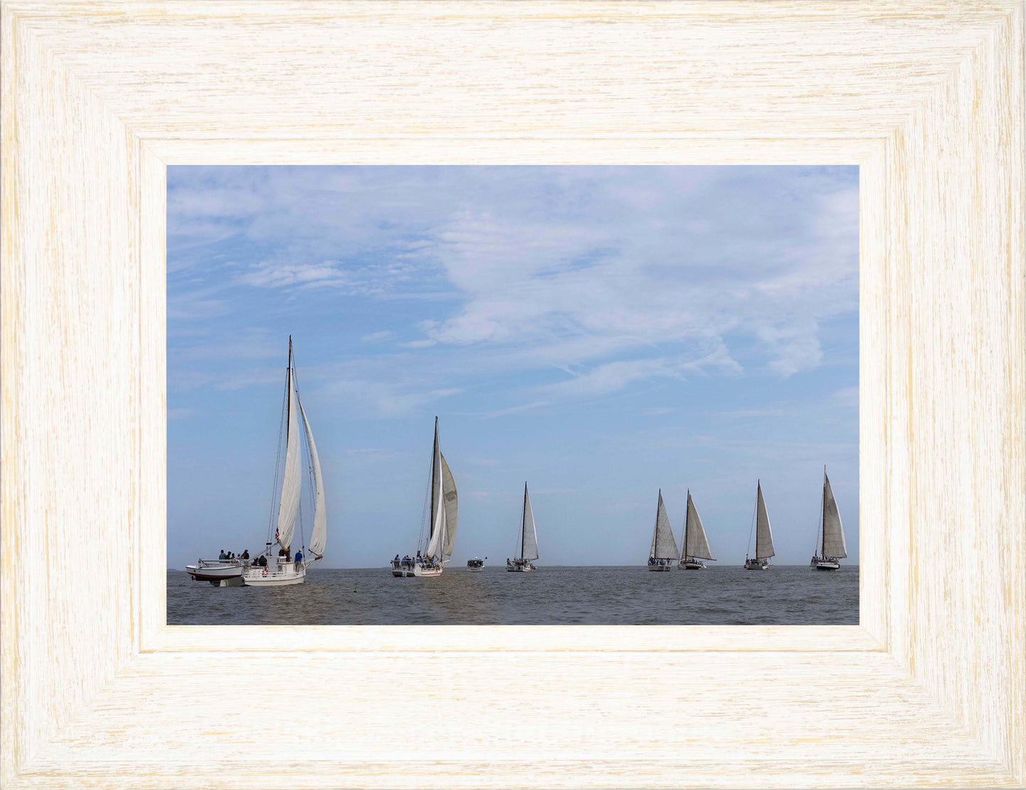 2023 Deal Island Skipjack Races - Spreading the Field (Color) -- Digital Print
