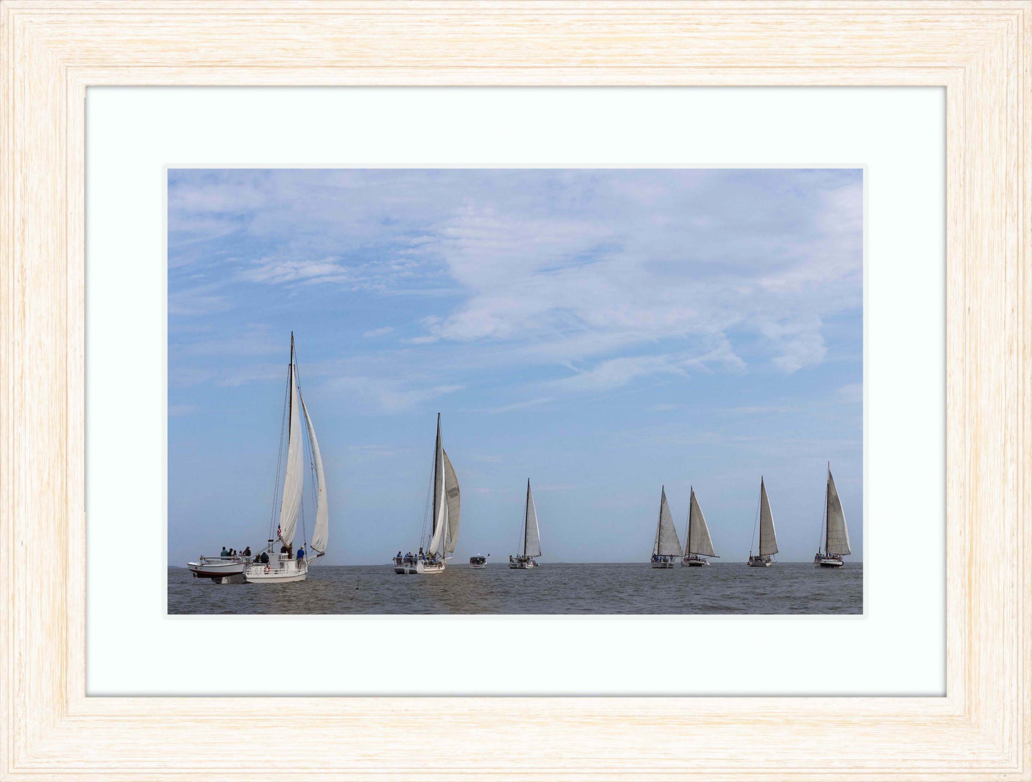 2023 Deal Island Skipjack Races - Spreading the Field (Color) -- Digital Print
