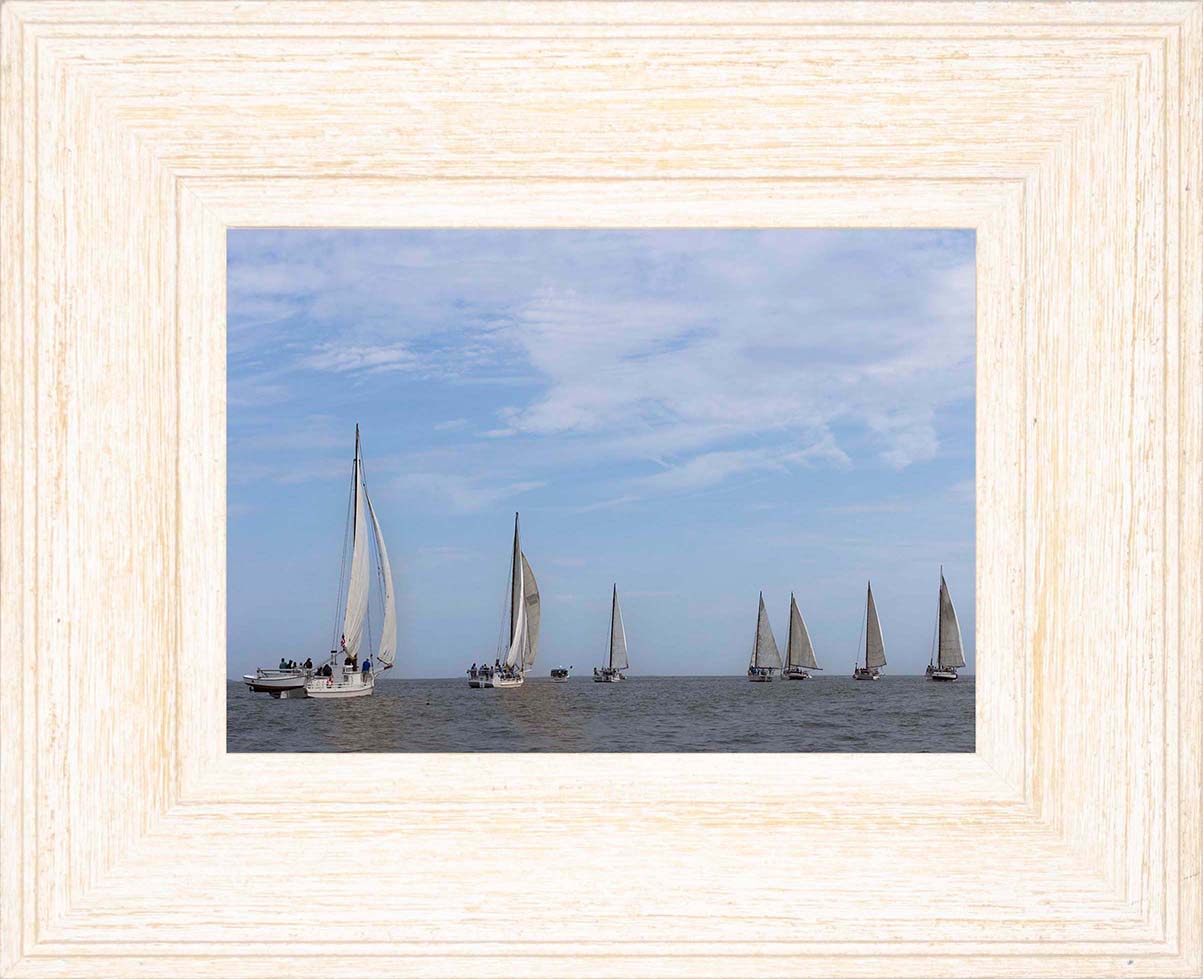 2023 Deal Island Skipjack Races - Spreading the Field (Color) -- Digital Print