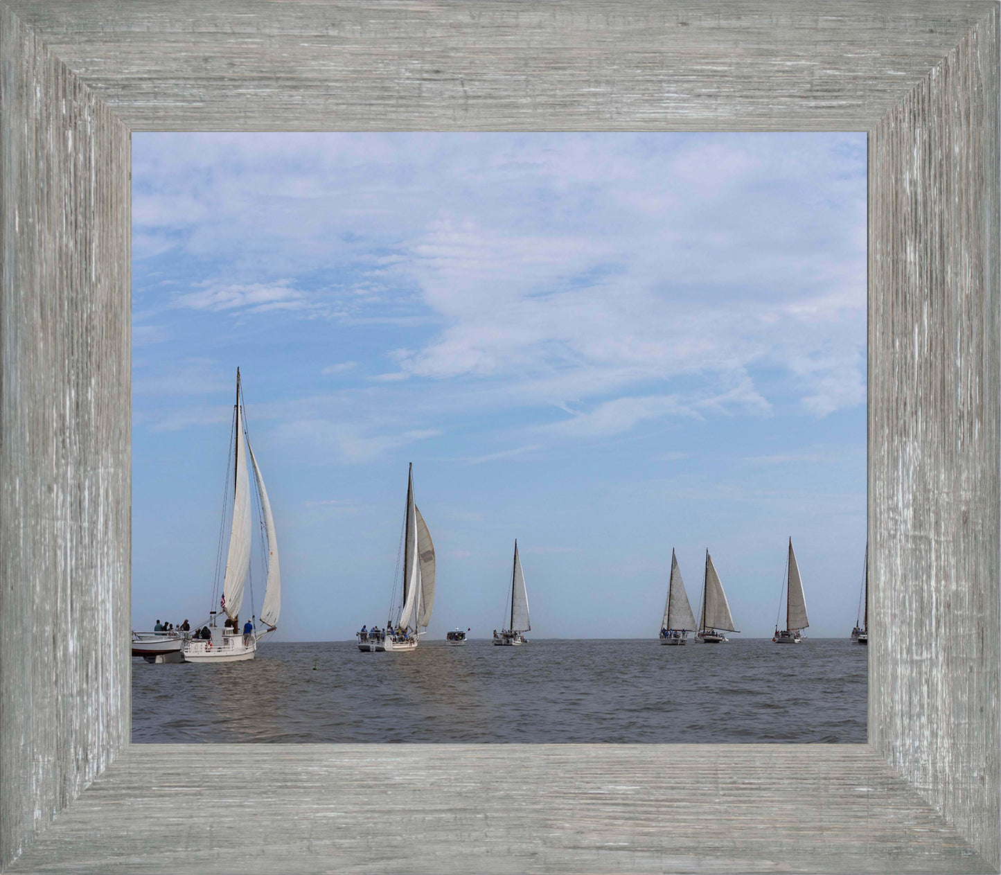 2023 Deal Island Skipjack Races - Spreading the Field (Color) -- Digital Print
