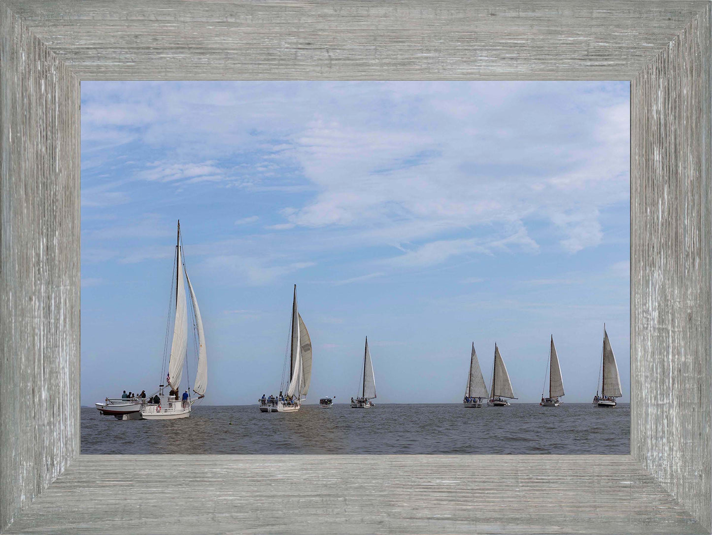 2023 Deal Island Skipjack Races - Spreading the Field (Color) -- Digital Print