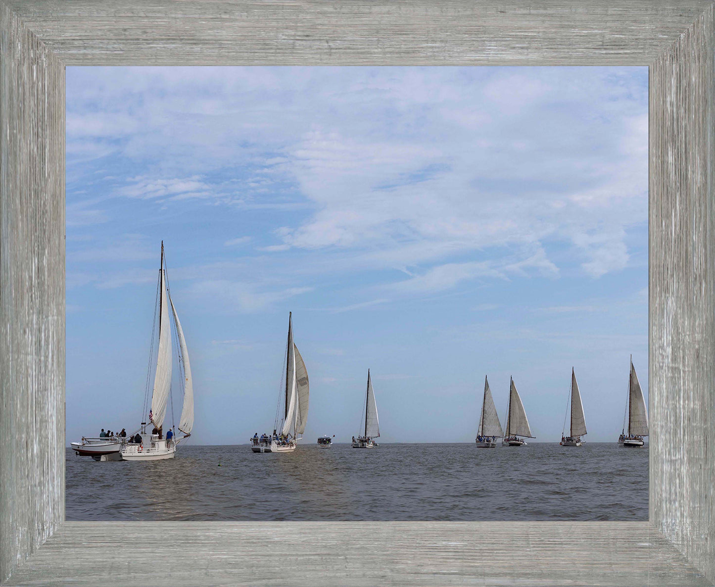 2023 Deal Island Skipjack Races - Spreading the Field (Color) -- Digital Print