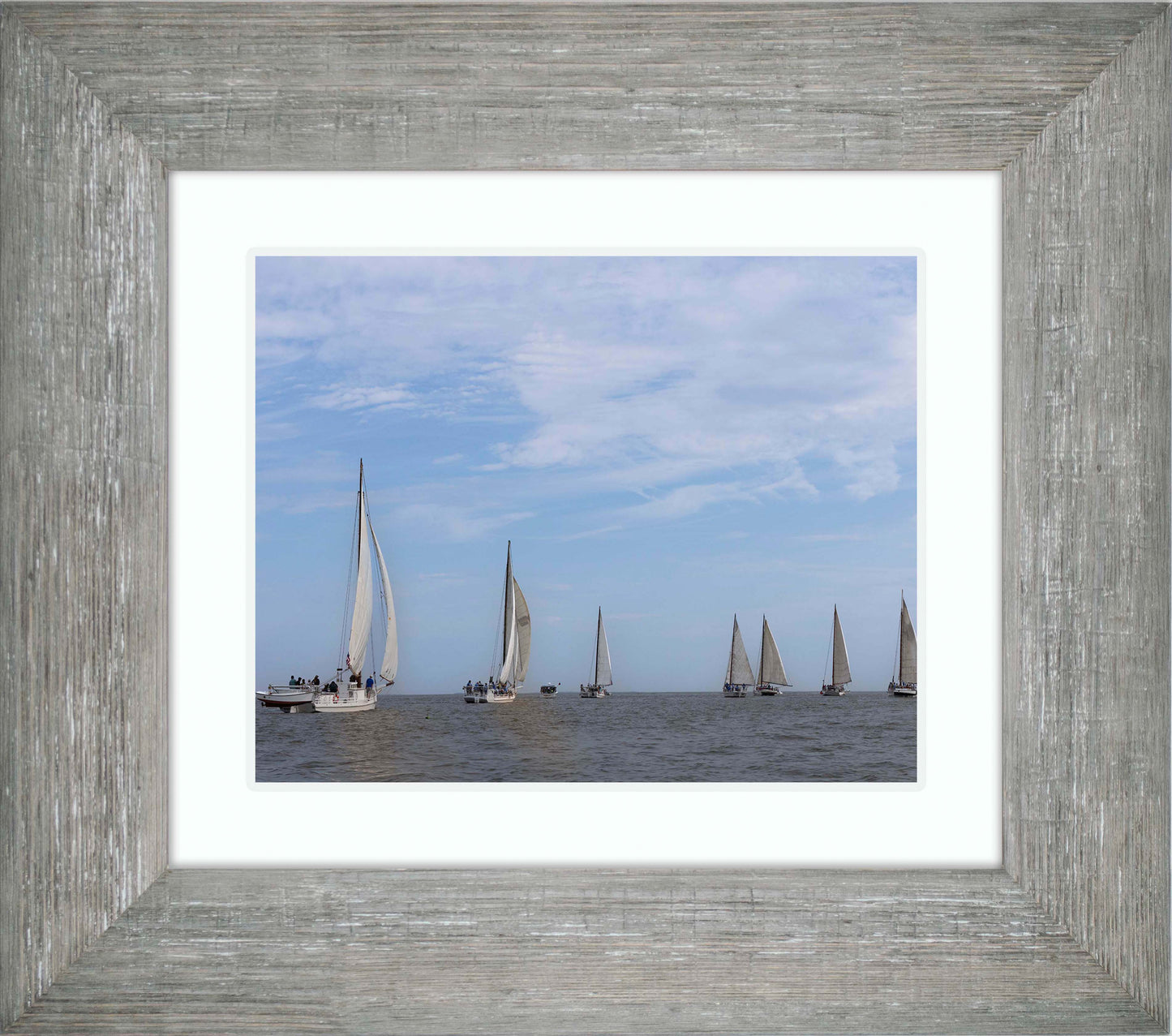 2023 Deal Island Skipjack Races - Spreading the Field (Color) -- Digital Print