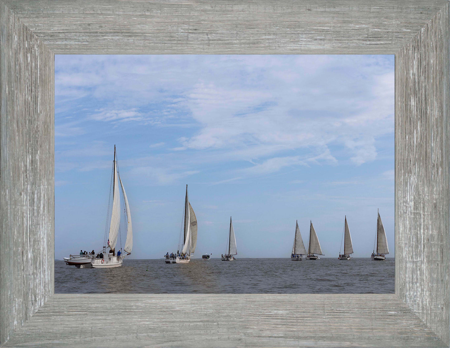 2023 Deal Island Skipjack Races - Spreading the Field (Color) -- Digital Print