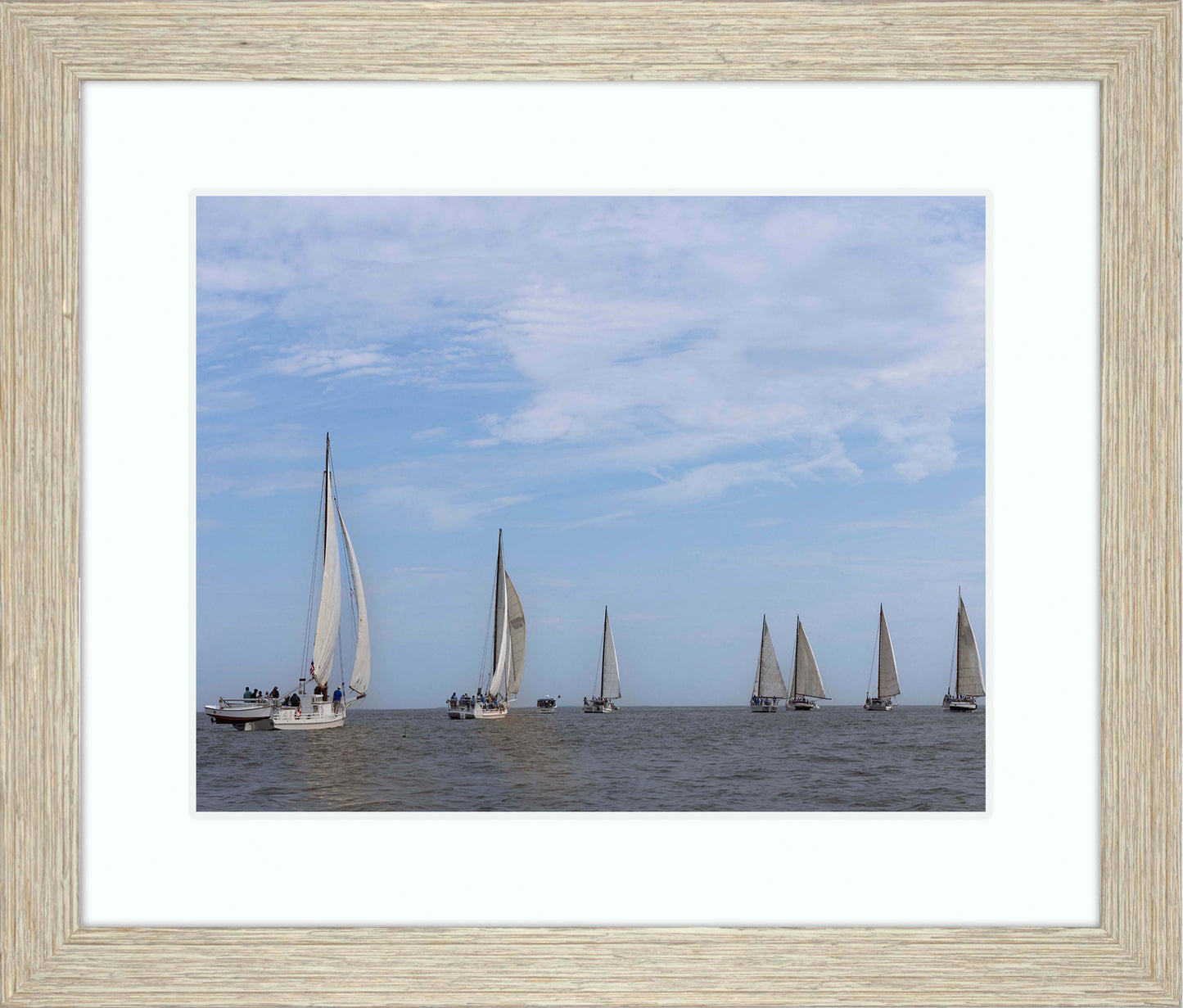 2023 Deal Island Skipjack Races - Spreading the Field (Color) -- Digital Print