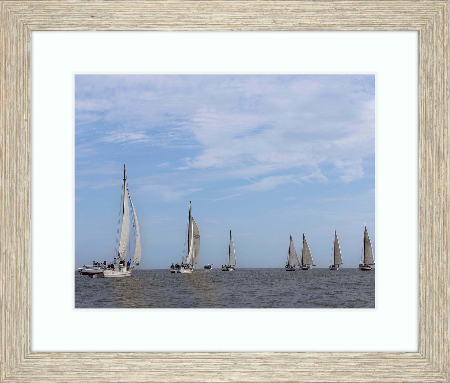 2023 Deal Island Skipjack Races - Spreading the Field (Color) -- Digital Print