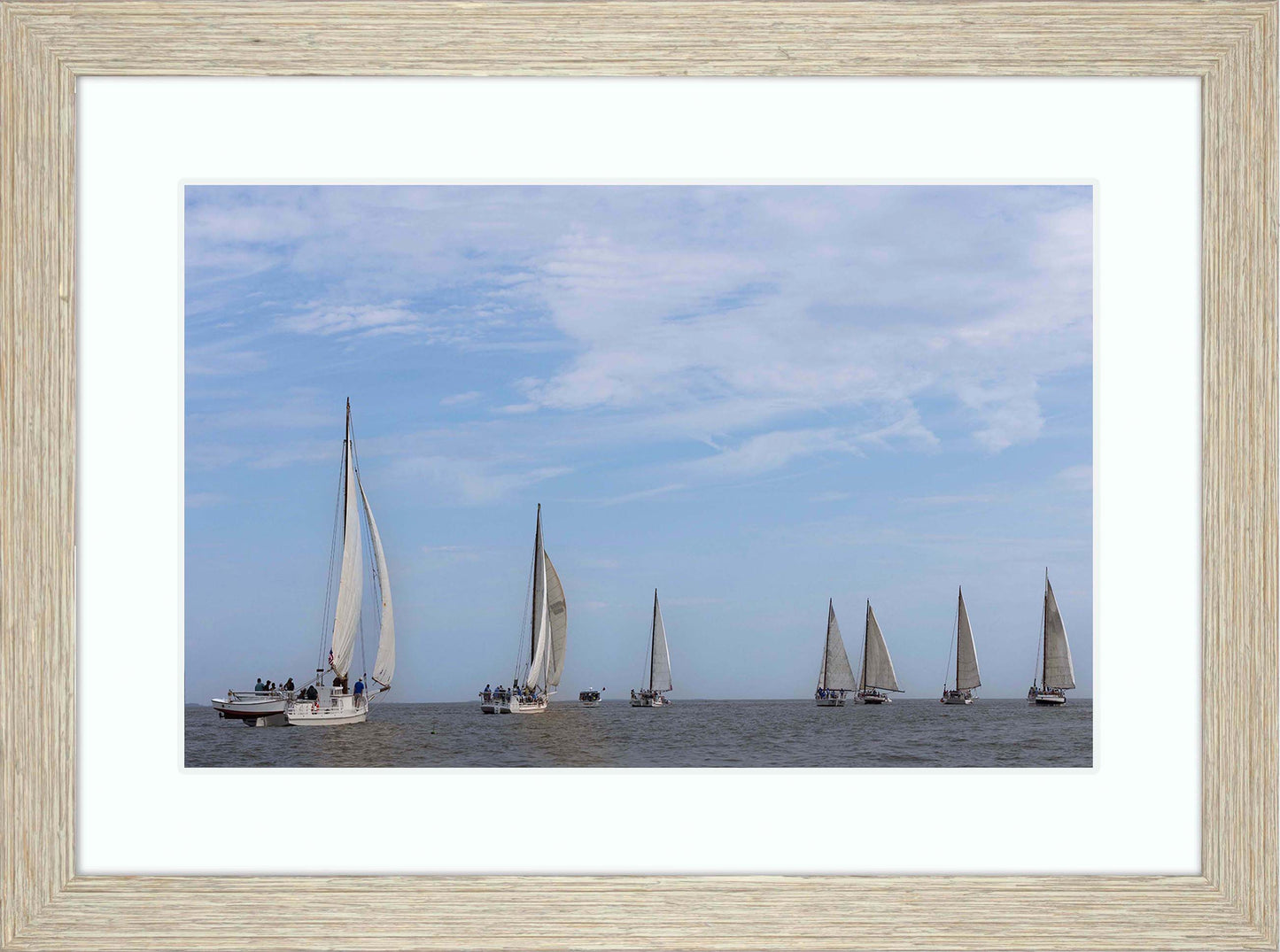 2023 Deal Island Skipjack Races - Spreading the Field (Color) -- Digital Print