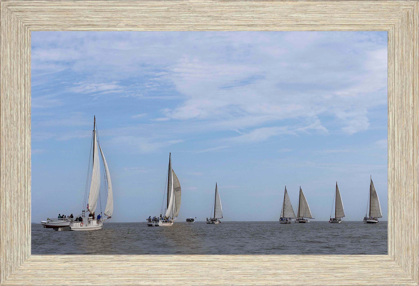 2023 Deal Island Skipjack Races - Spreading the Field (Color) -- Digital Print