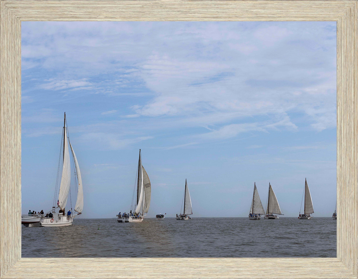 2023 Deal Island Skipjack Races - Spreading the Field (Color) -- Digital Print