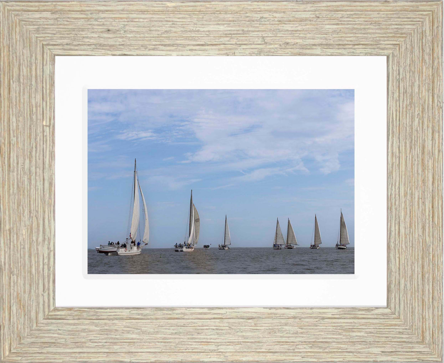 2023 Deal Island Skipjack Races - Spreading the Field (Color) -- Digital Print