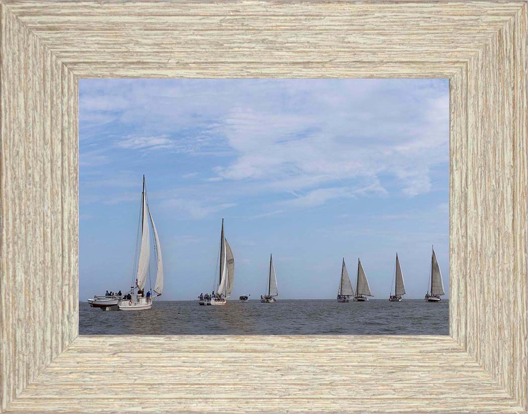 2023 Deal Island Skipjack Races - Spreading the Field (Color) -- Digital Print