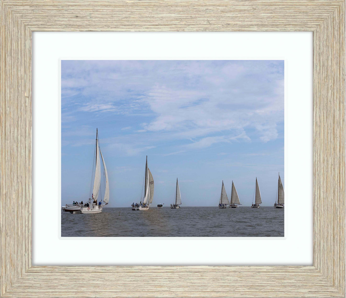 2023 Deal Island Skipjack Races - Spreading the Field (Color) -- Digital Print