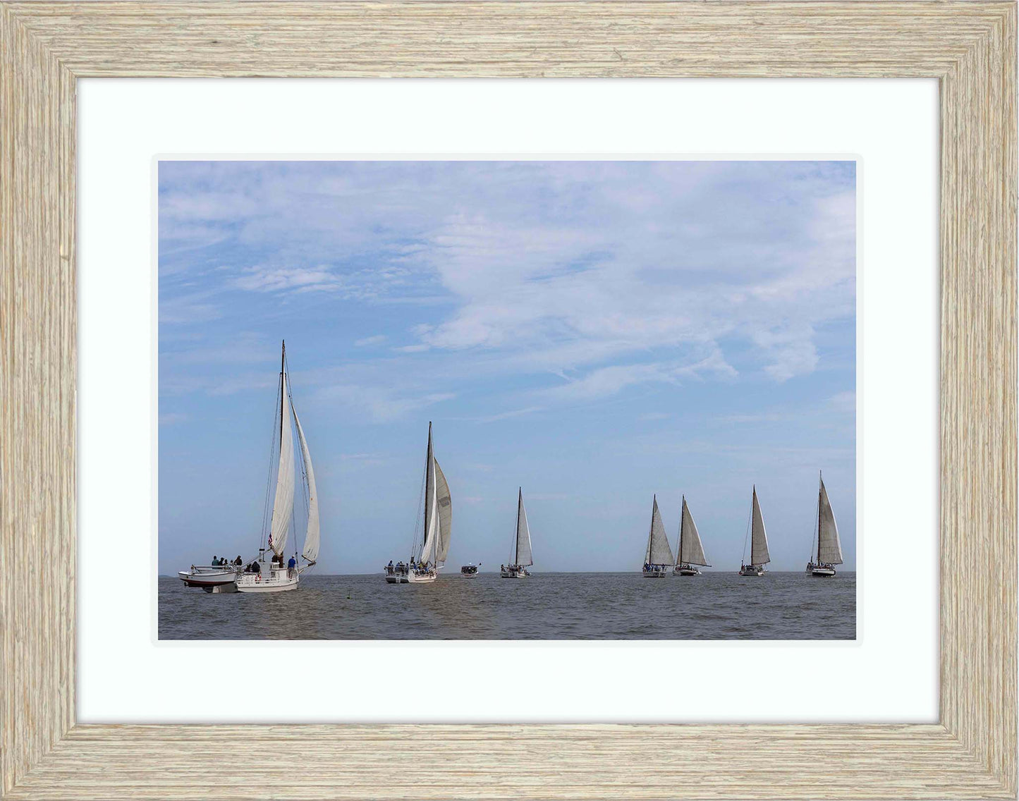 2023 Deal Island Skipjack Races - Spreading the Field (Color) -- Digital Print