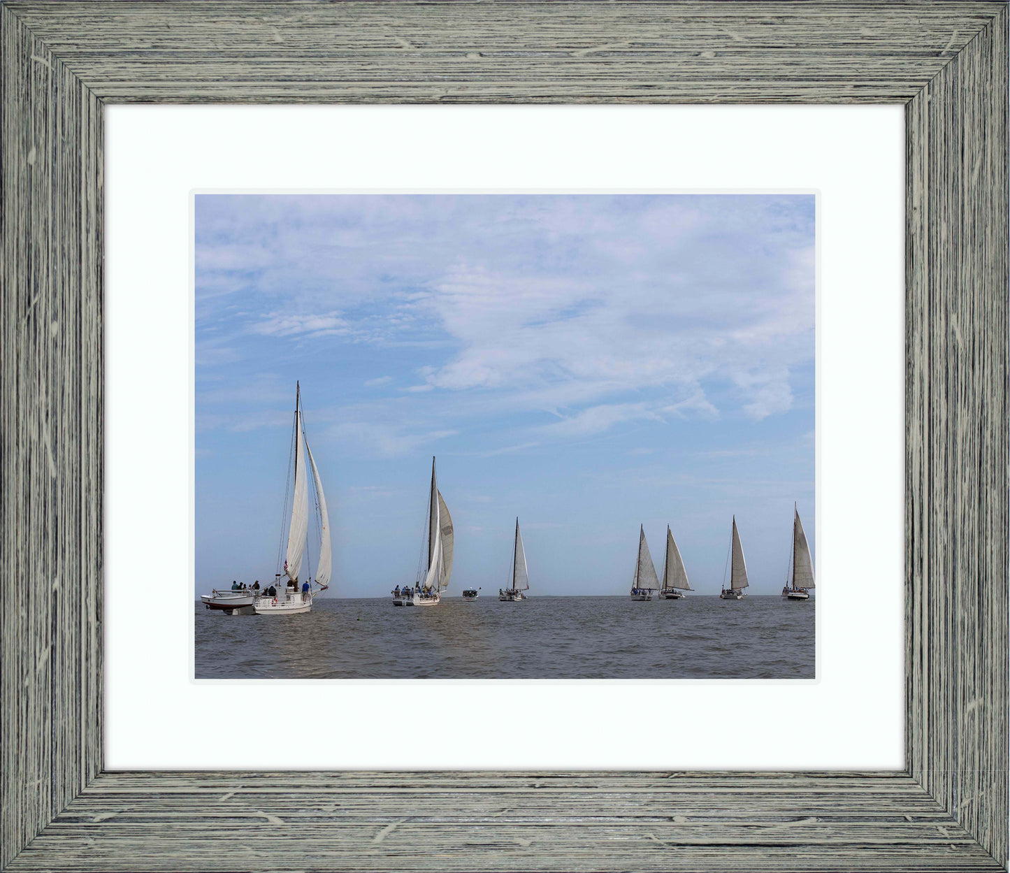 2023 Deal Island Skipjack Races - Spreading the Field (Color) -- Digital Print