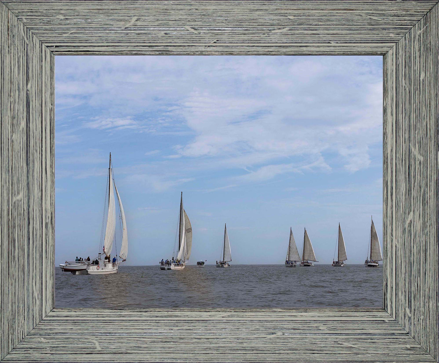 2023 Deal Island Skipjack Races - Spreading the Field (Color) -- Digital Print
