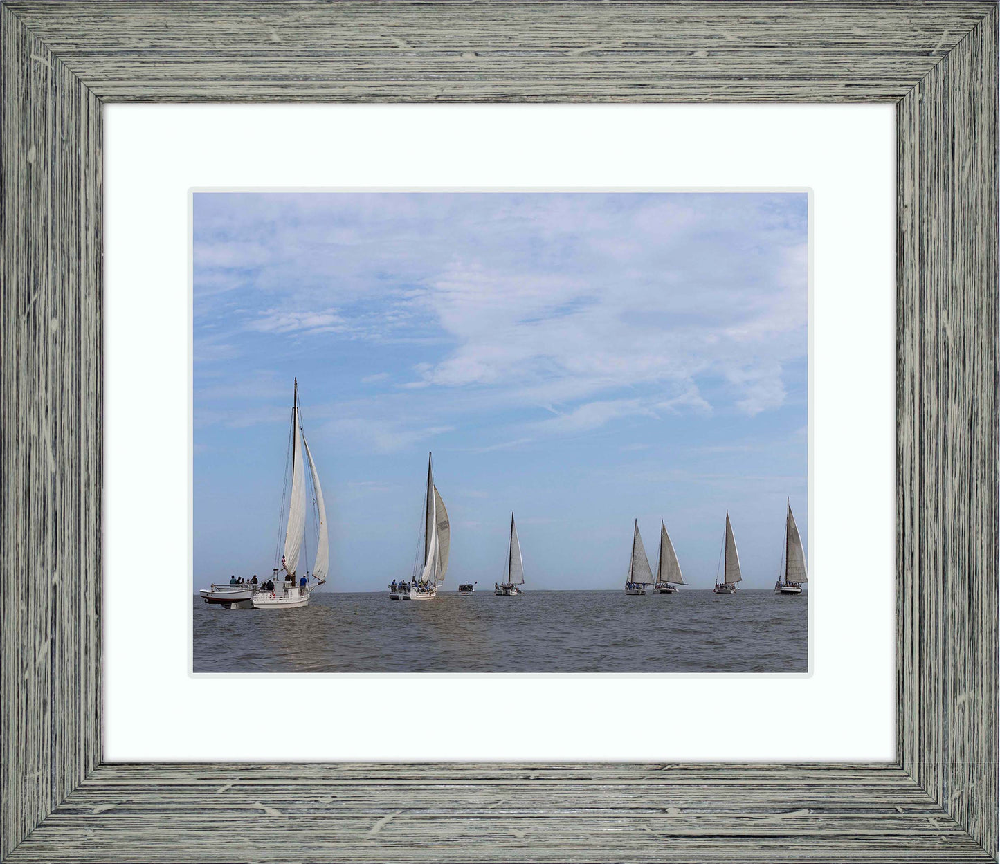 2023 Deal Island Skipjack Races - Spreading the Field (Color) -- Digital Print