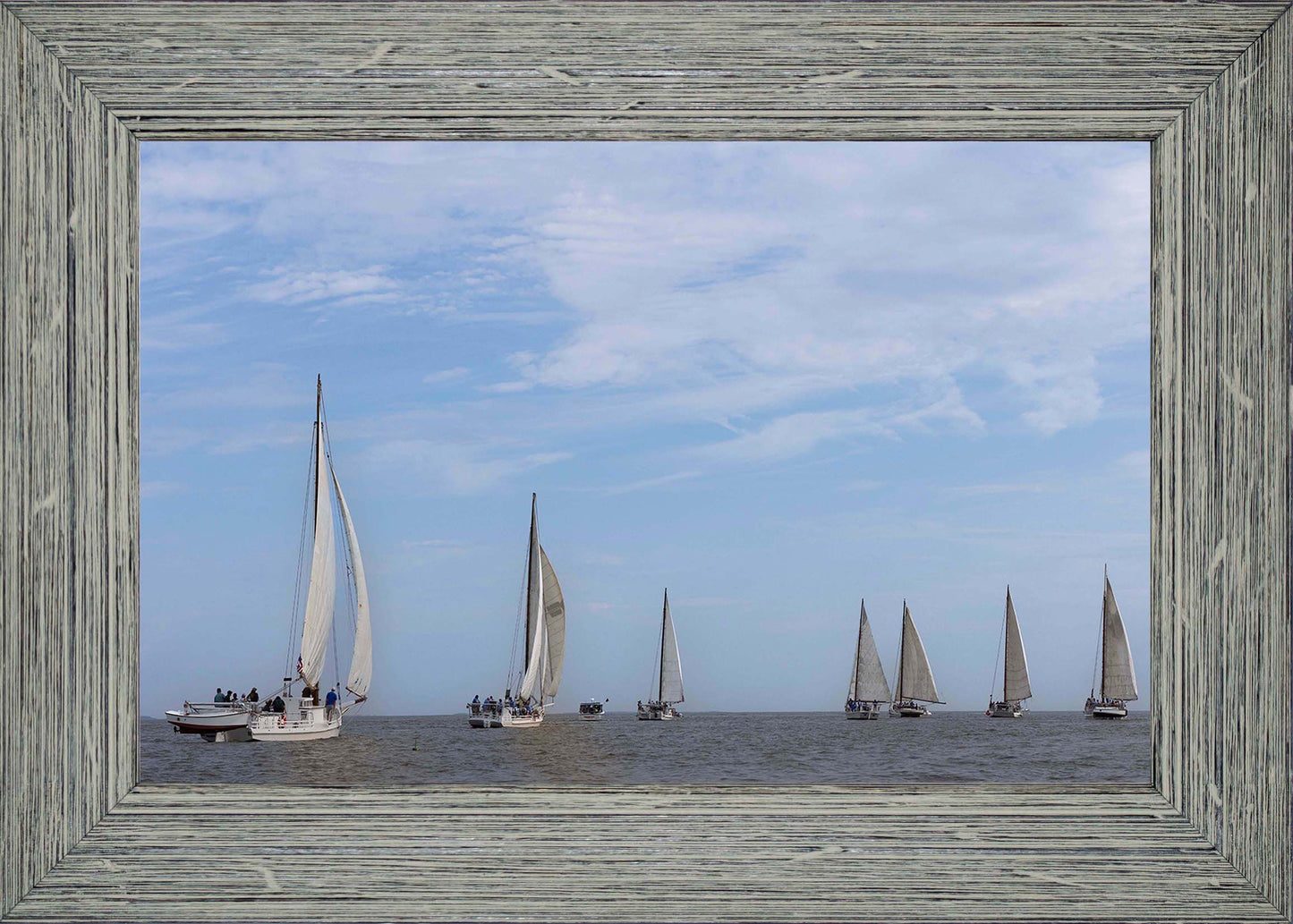 2023 Deal Island Skipjack Races - Spreading the Field (Color) -- Digital Print