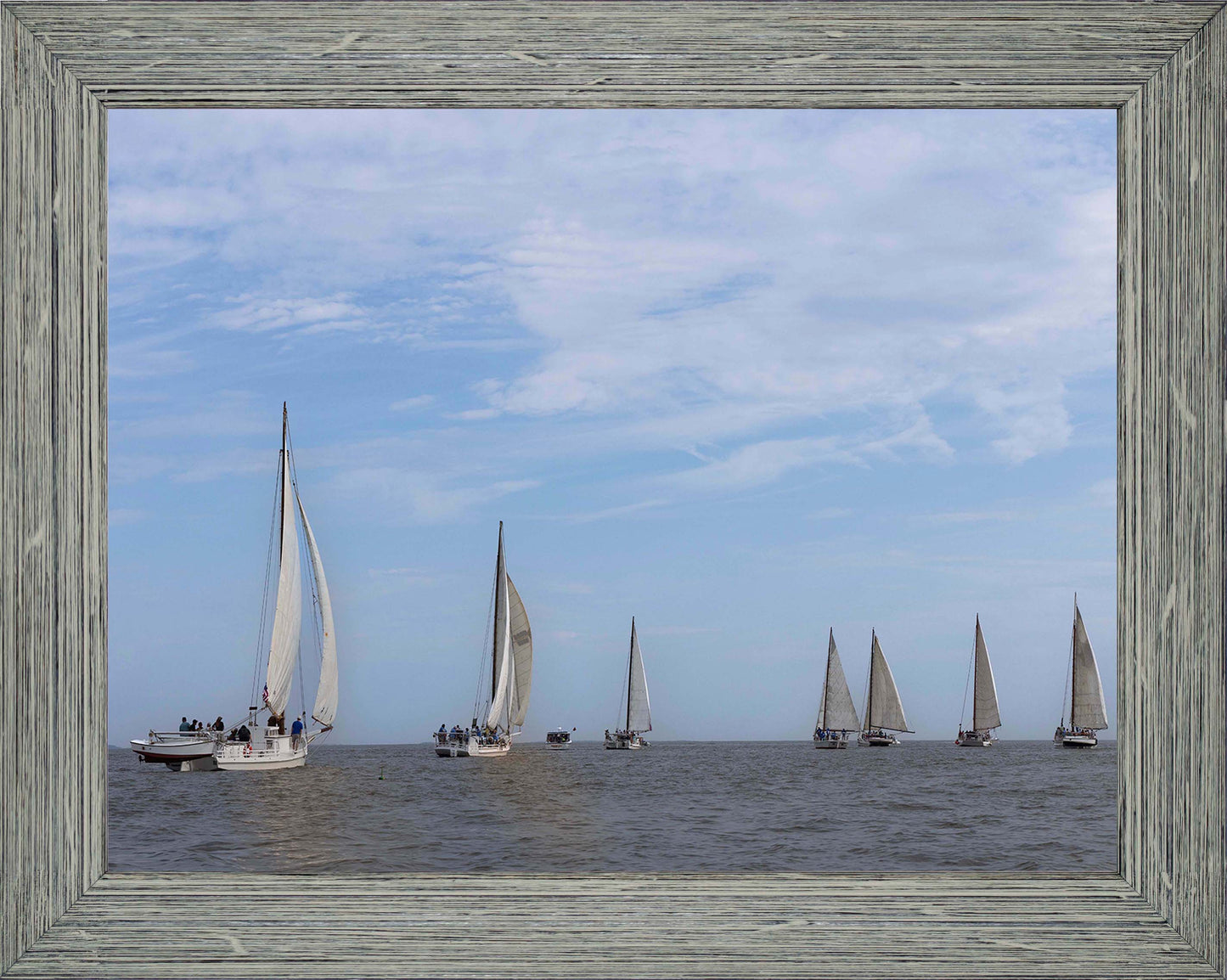 2023 Deal Island Skipjack Races - Spreading the Field (Color) -- Digital Print
