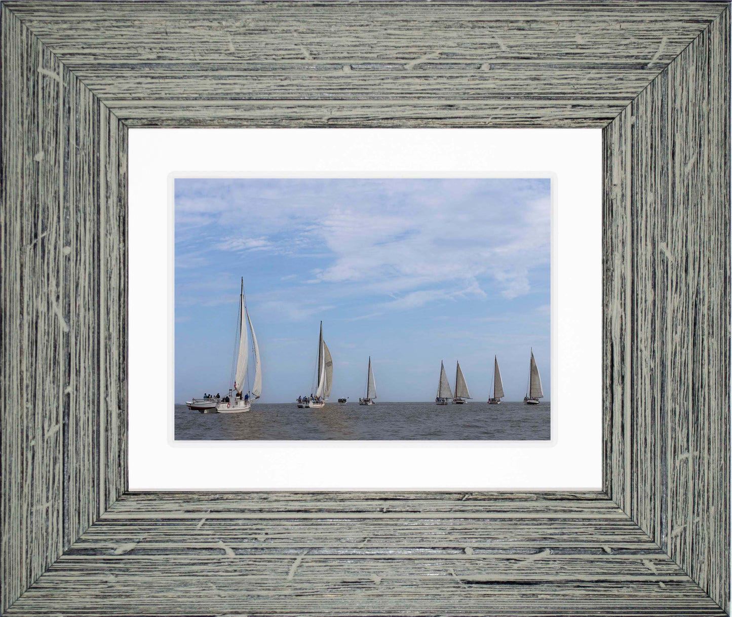 2023 Deal Island Skipjack Races - Spreading the Field (Color) -- Digital Print