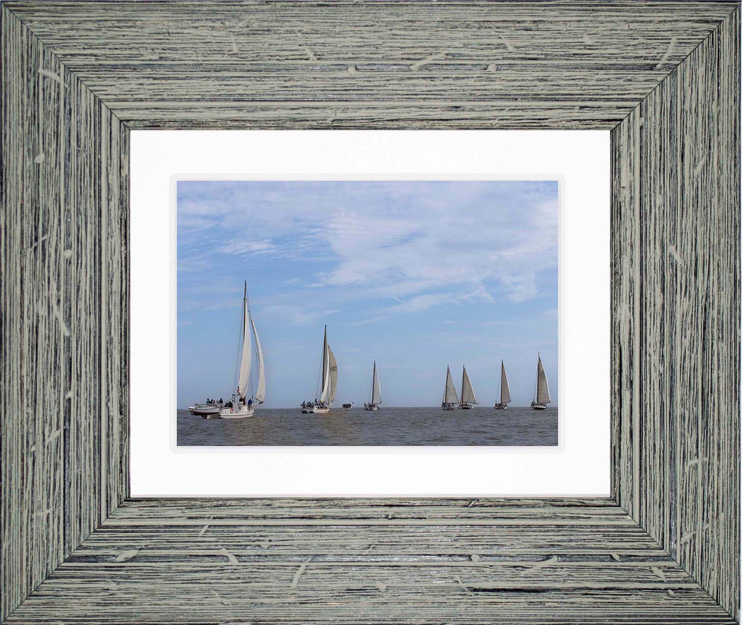 2023 Deal Island Skipjack Races - Spreading the Field (Color) -- Digital Print