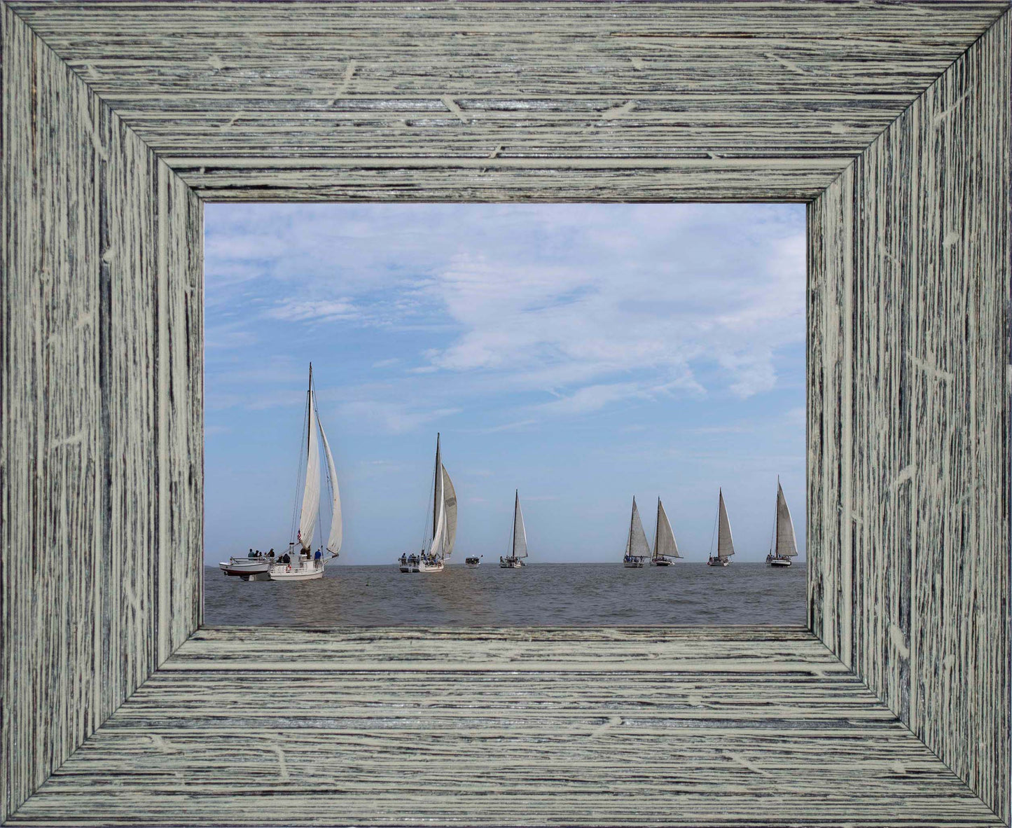 2023 Deal Island Skipjack Races - Spreading the Field (Color) -- Digital Print