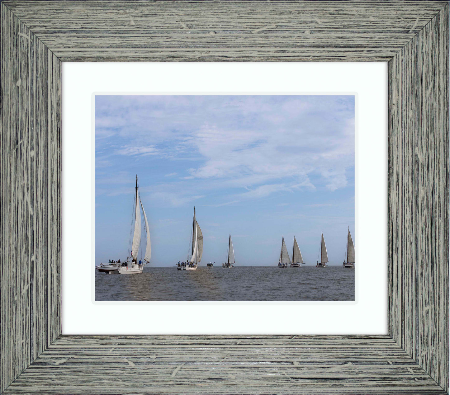 2023 Deal Island Skipjack Races - Spreading the Field (Color) -- Digital Print