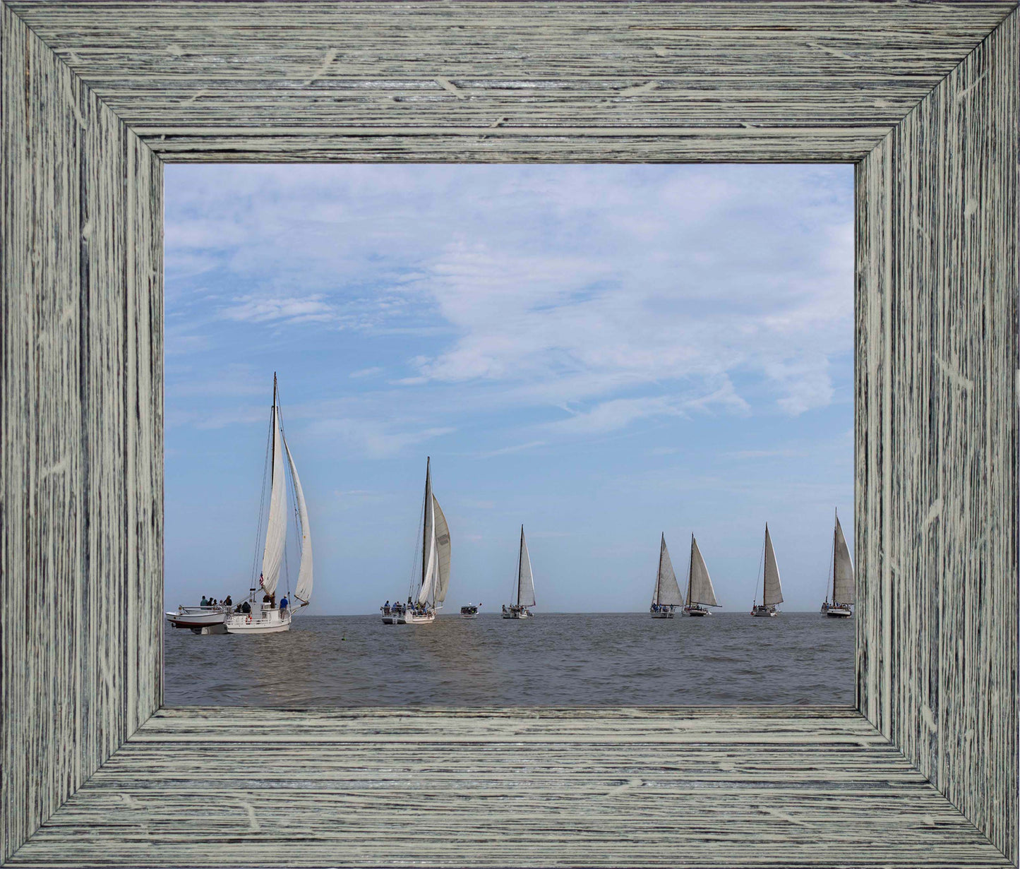 2023 Deal Island Skipjack Races - Spreading the Field (Color) -- Digital Print