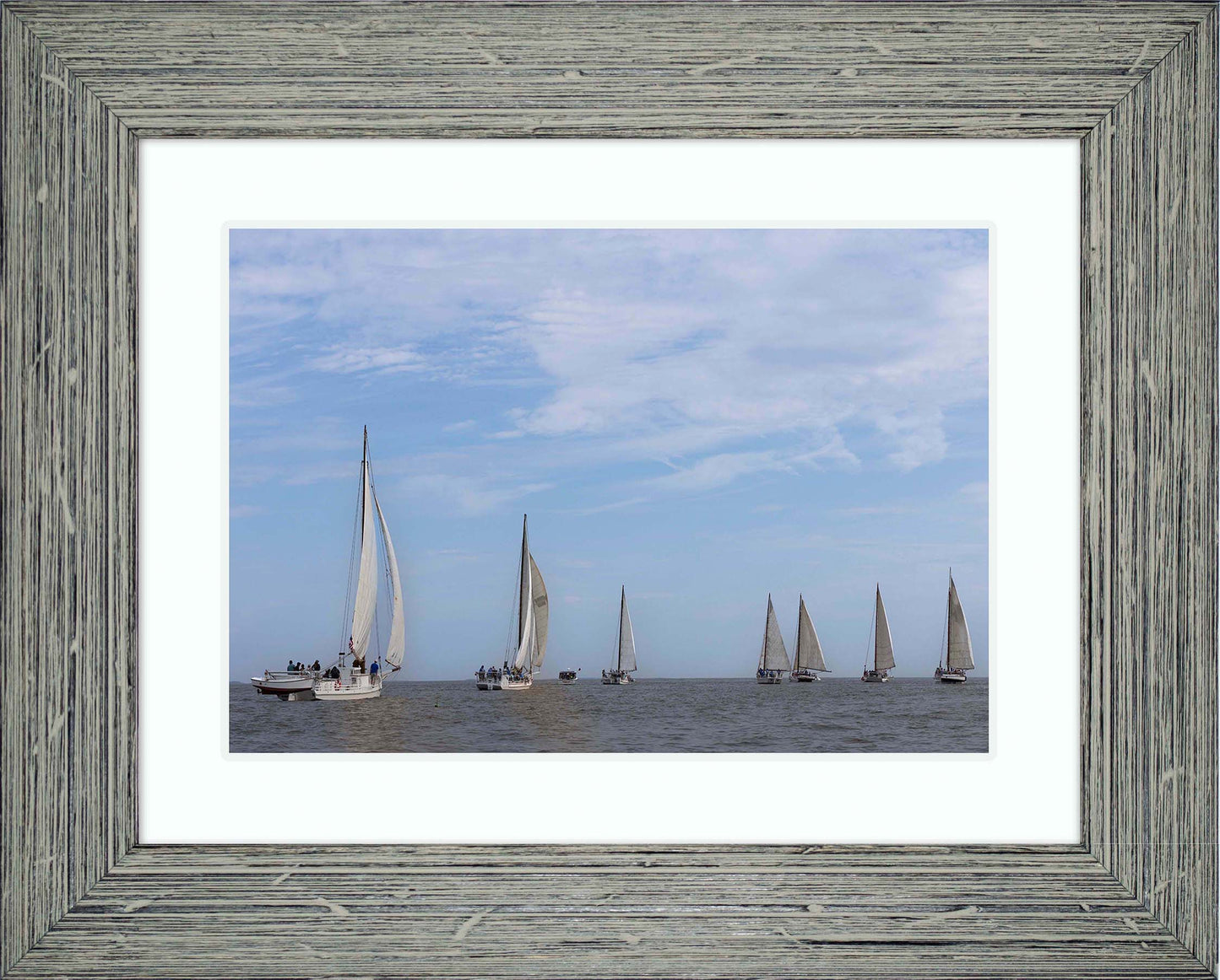 2023 Deal Island Skipjack Races - Spreading the Field (Color) -- Digital Print