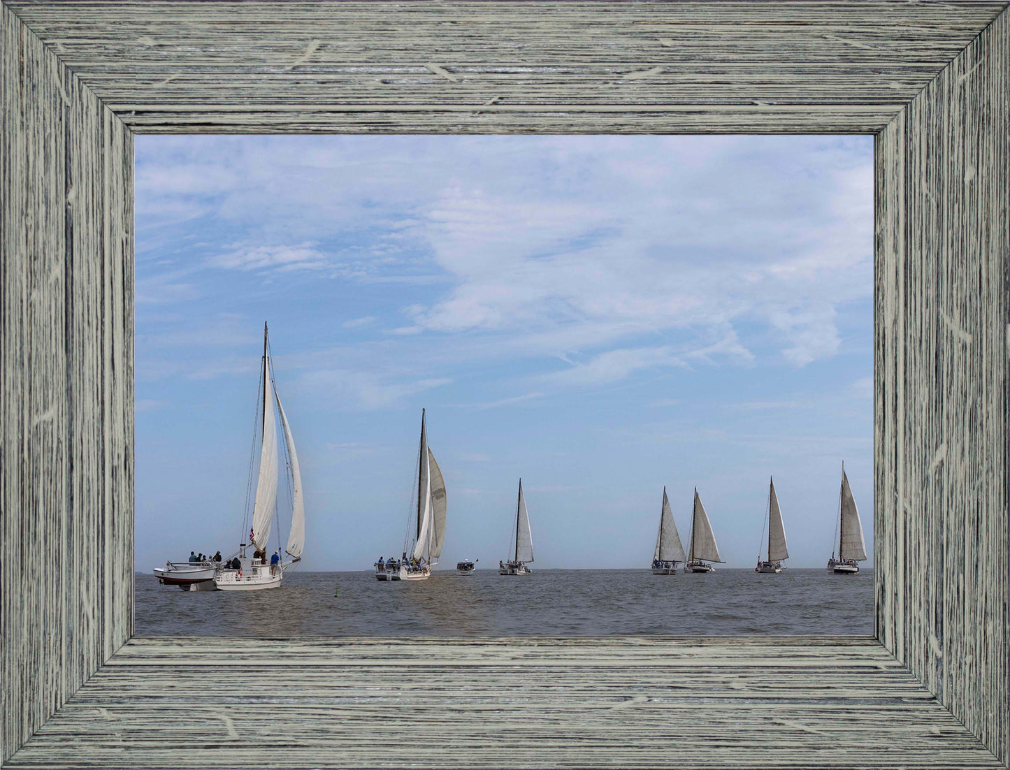 2023 Deal Island Skipjack Races - Spreading the Field (Color) -- Digital Print