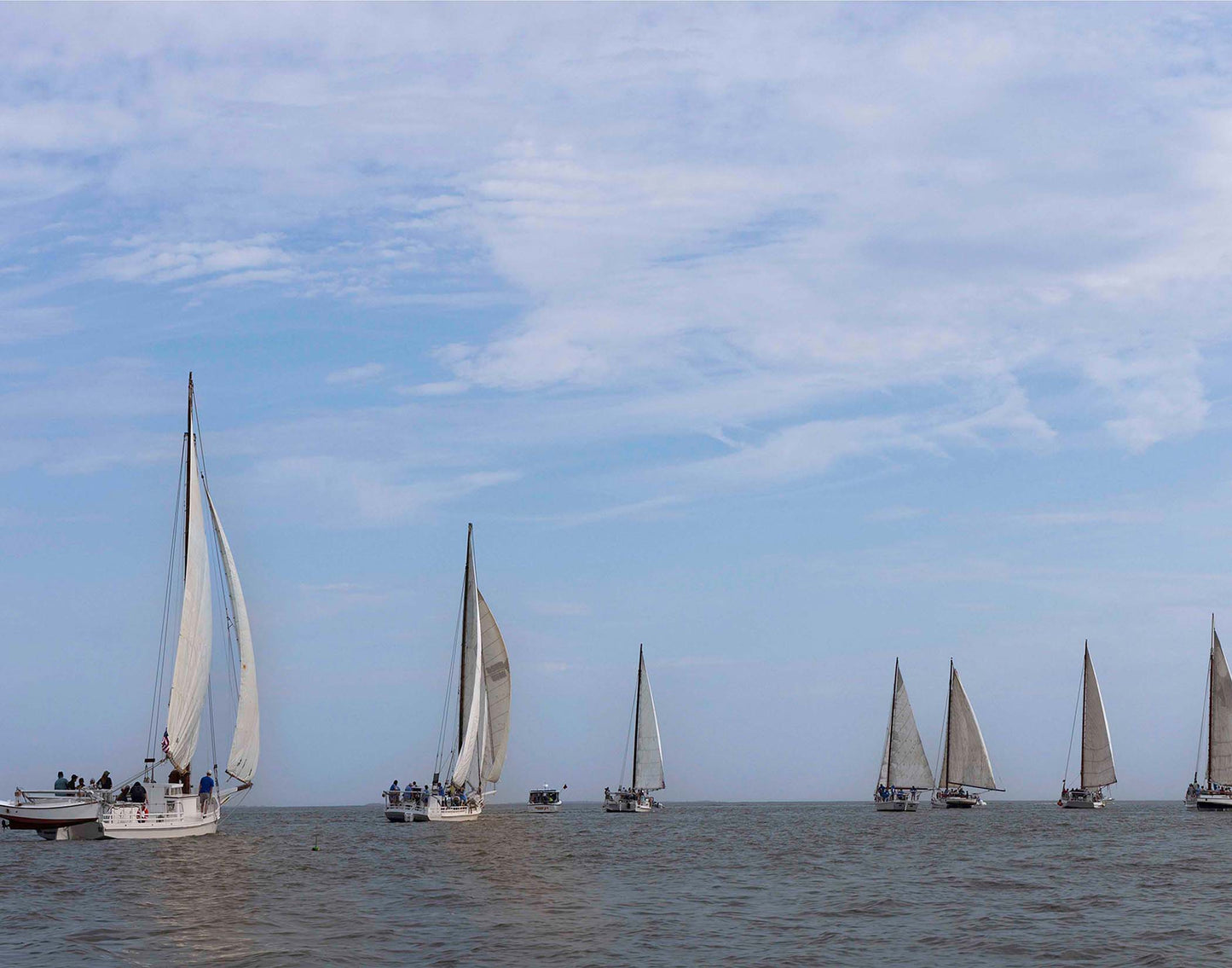 2023 Deal Island Skipjack Races - Spreading the Field (Color) -- Digital Print