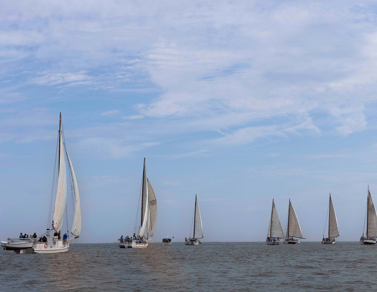 2023 Deal Island Skipjack Races - Spreading the Field (Color) -- Digital Print