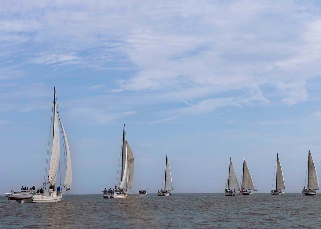 2023 Deal Island Skipjack Races - Spreading the Field (Color) -- Digital Print