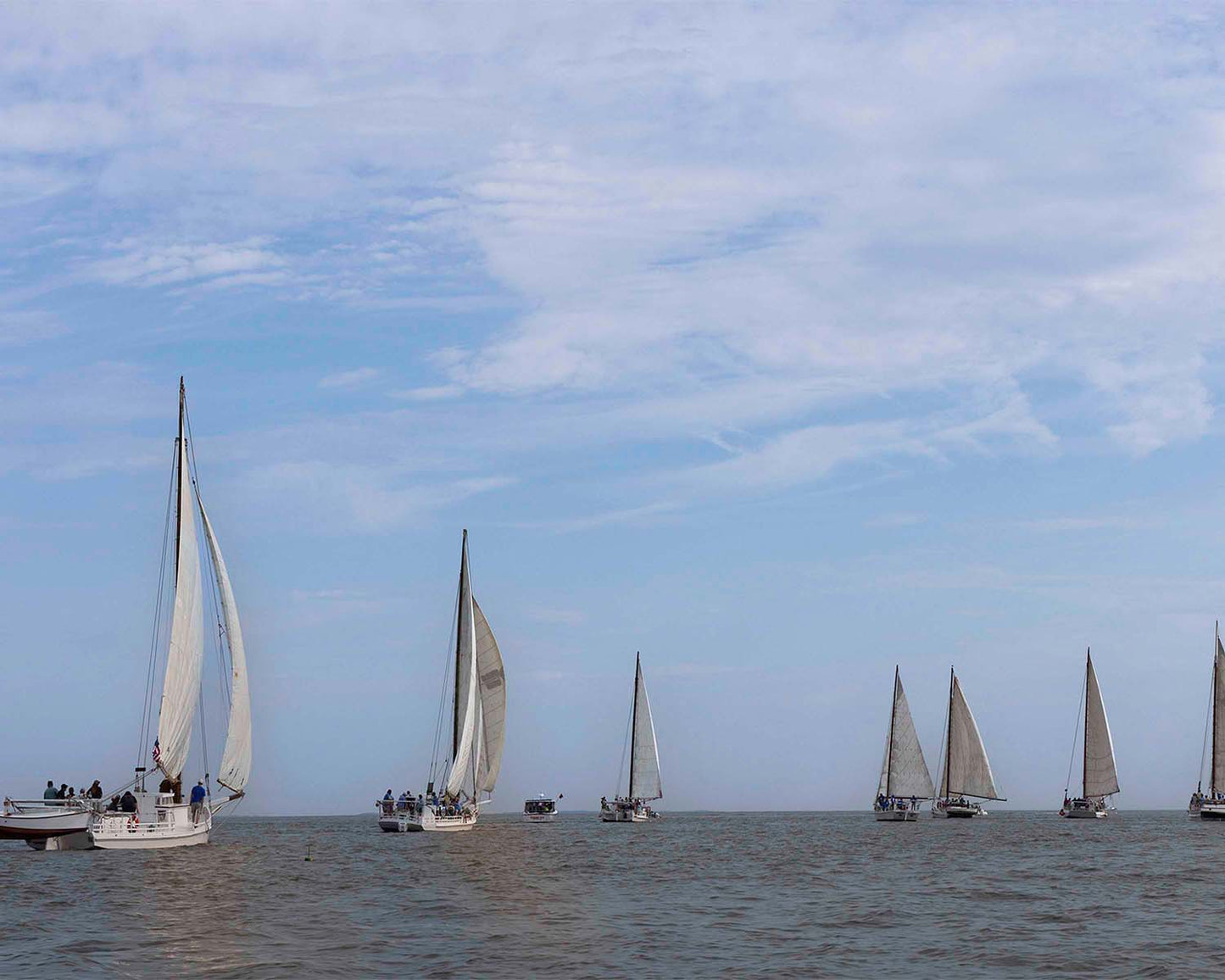 2023 Deal Island Skipjack Races - Spreading the Field (Color) -- Digital Print