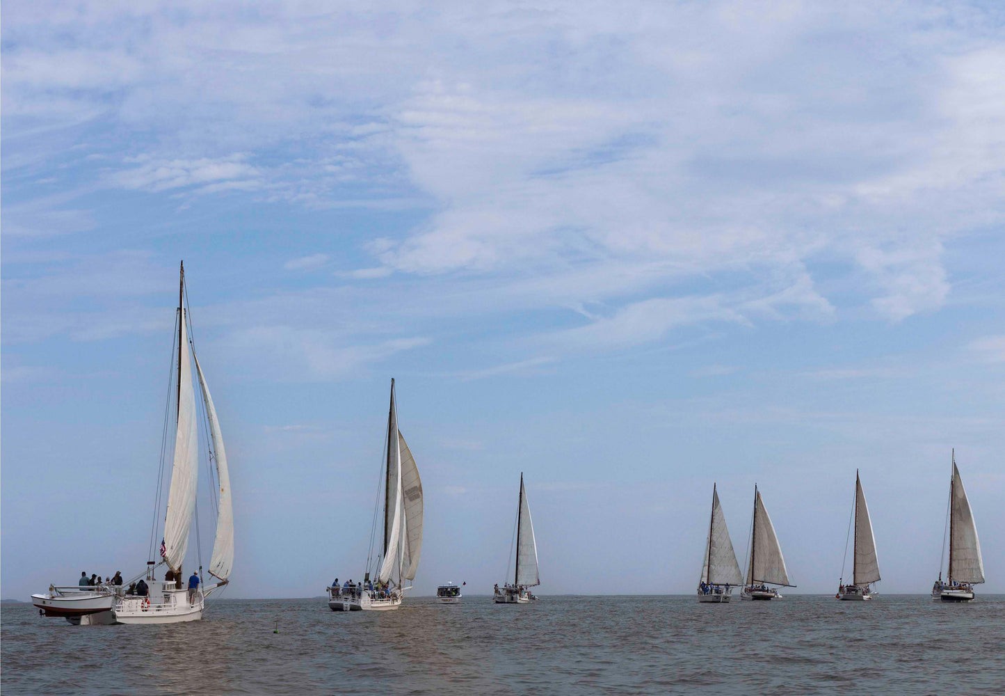 2023 Deal Island Skipjack Races - Spreading the Field (Color) -- Digital Print