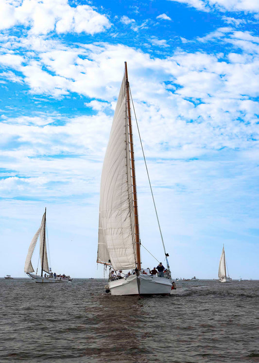 2023 Deal Island Skipjack Races - Staring Down the Bowsprit (Ruark) -- Digital Print