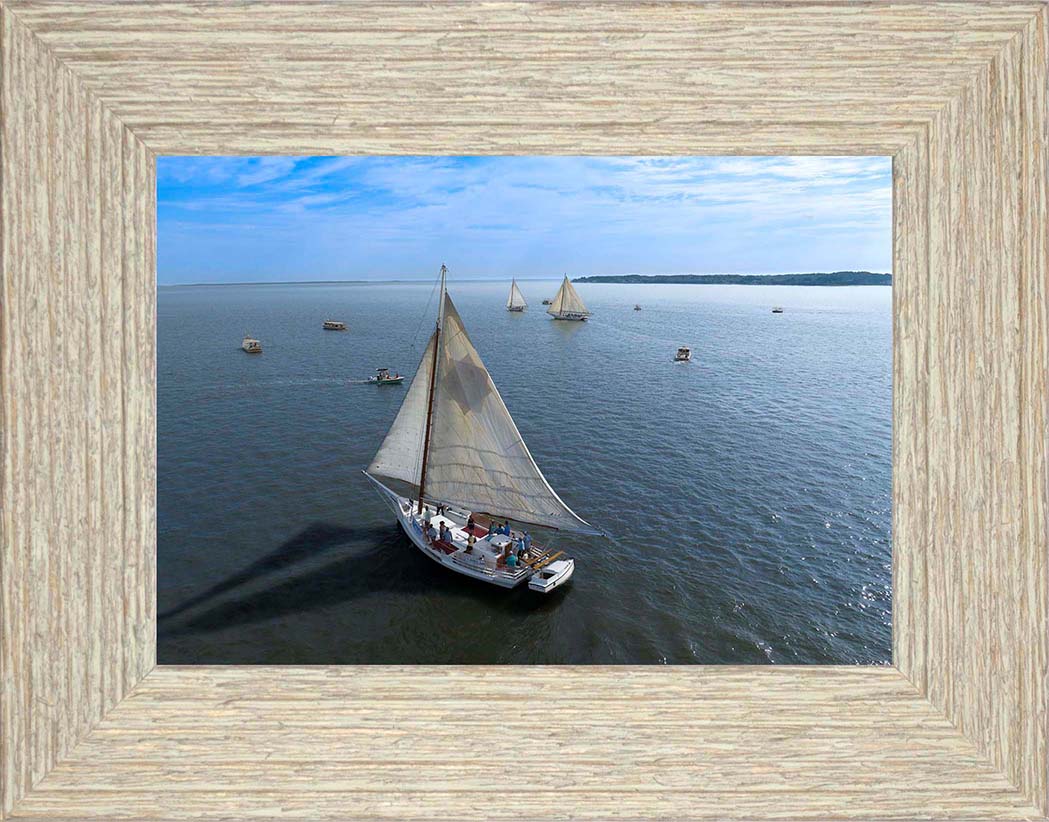 2023 Deal Island Skipjack Races - Tattered and Worn -- Digital Print