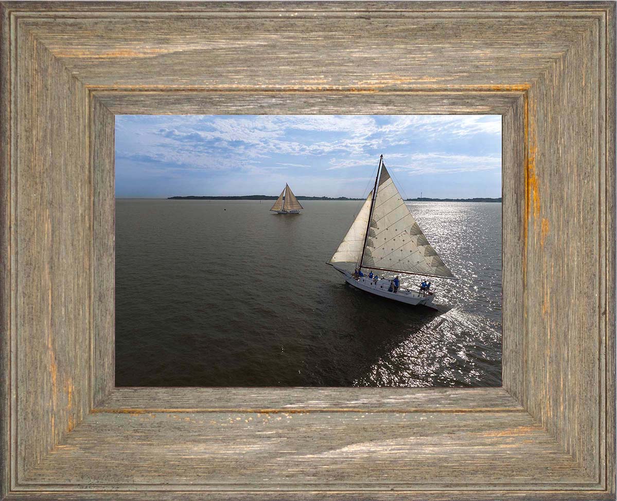 2023 Deal Island Skipjack Races - The Beauty in the Sails -- Digital Print