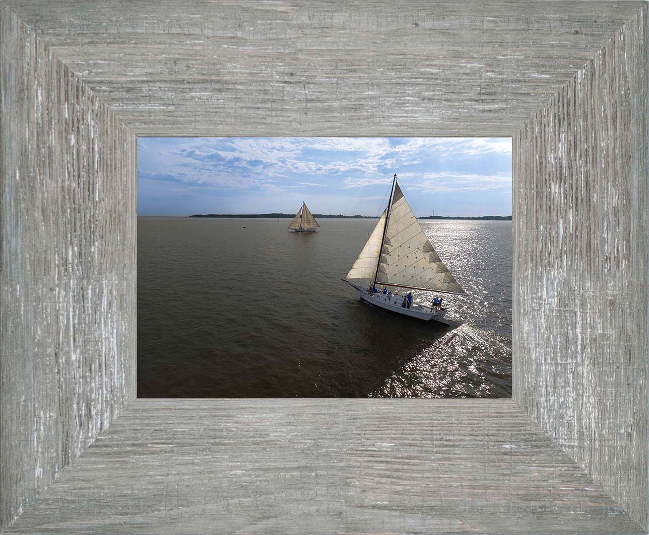 2023 Deal Island Skipjack Races - The Beauty in the Sails -- Digital Print